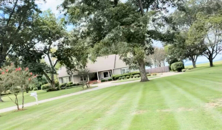 lawn maintenance bolivar county ms